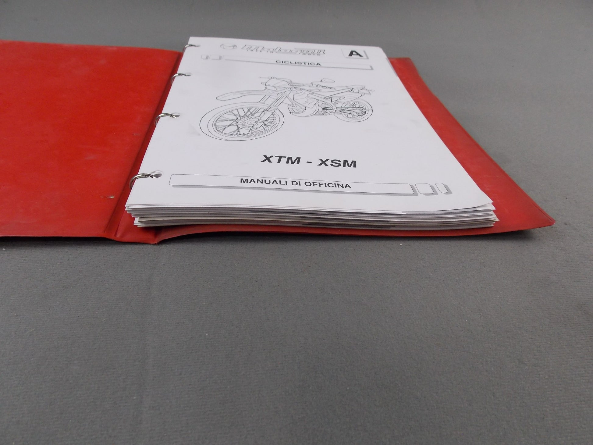 2003 MALAGUTI MOTO MINARELLI XTM-XSM 2T ENGINE AM6 FRAME WORKSHOP MANUAL ITALIAN - MotoRaider