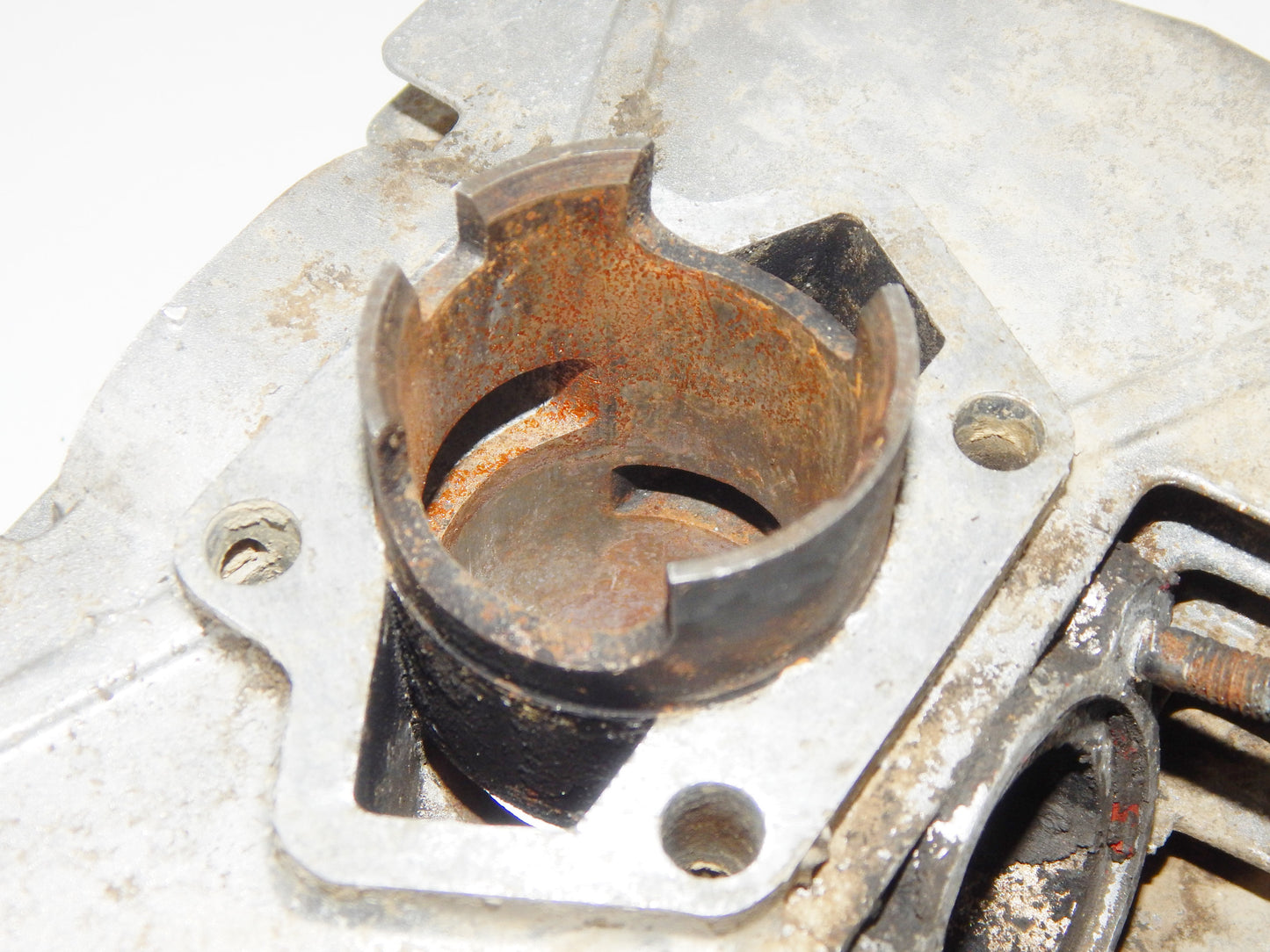 1970's MINARELLI 50 cc CYLINDER MOTOR JUG TOP END ENGINE BORE 38.60 mm  + PISTON - MotoRaider