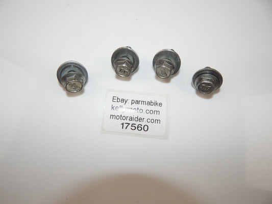 1970's FANTIC MOTOR 125cc TRIAL FRONT FENDER MUD GUARD BOLTS HARDWARE VINTAGE - MotoRaider