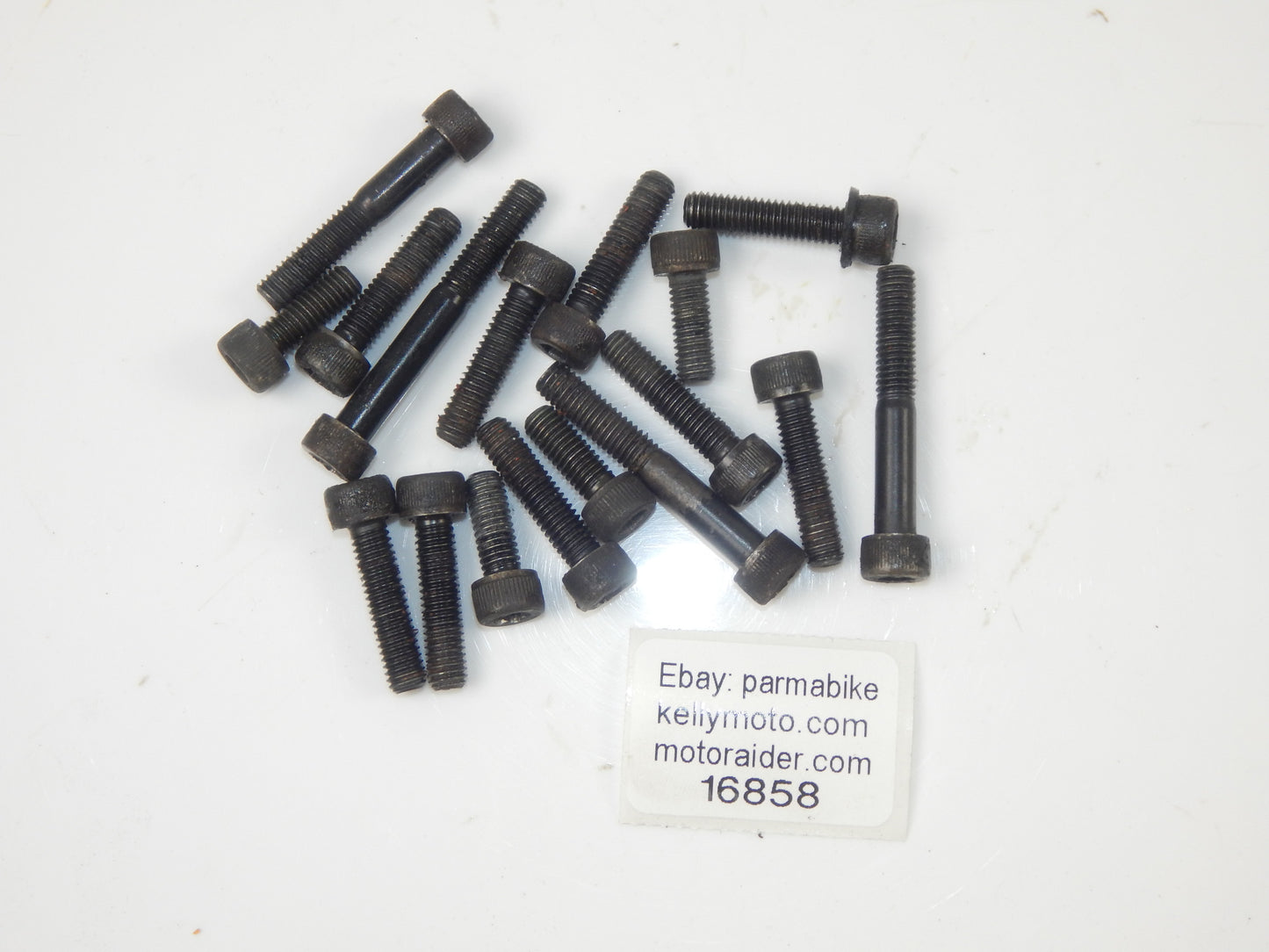 1986 SUZUKI GSXR 750 MOTOR ENGINE SIDE CASE COVERS BOLTS VINTAGE - MotoRaider