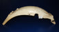 ACERBIS MUDGUARD REAR FENDER WHITE PLASTIC L=31.25" VINTAGE ENDURO BETA FANTIC - MotoRaider