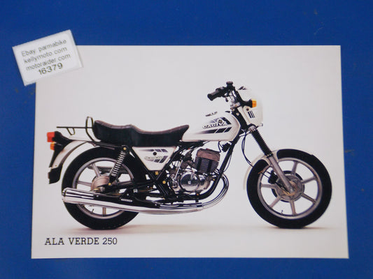 1980's CAGIVA ALA VERDE 250 ORIGINAL DEALER PHOTO BROCHURE VINTAGE AD 6x8.25" - MotoRaider