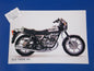 1980's CAGIVA ALA VERDE 350 ORIGINAL DEALER PHOTO BROCHURE VINTAGE 6 x 8 1/4 In. - MotoRaider