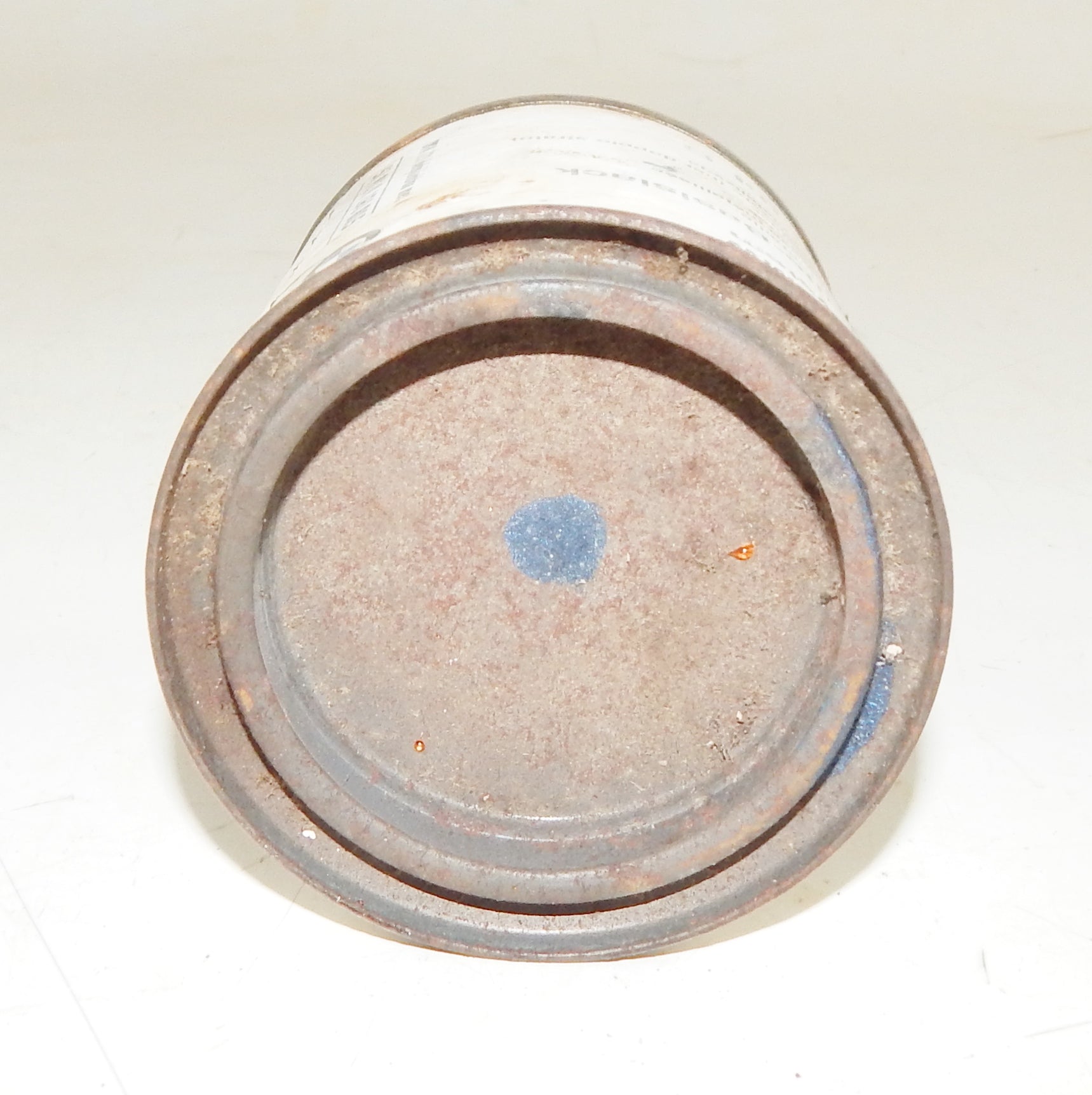 OEM BMW PAINT CAN 250ml BASECOAT METALLIC BMW 373 MET DOLPHINBLUE (Delphinblau) - MotoRaider