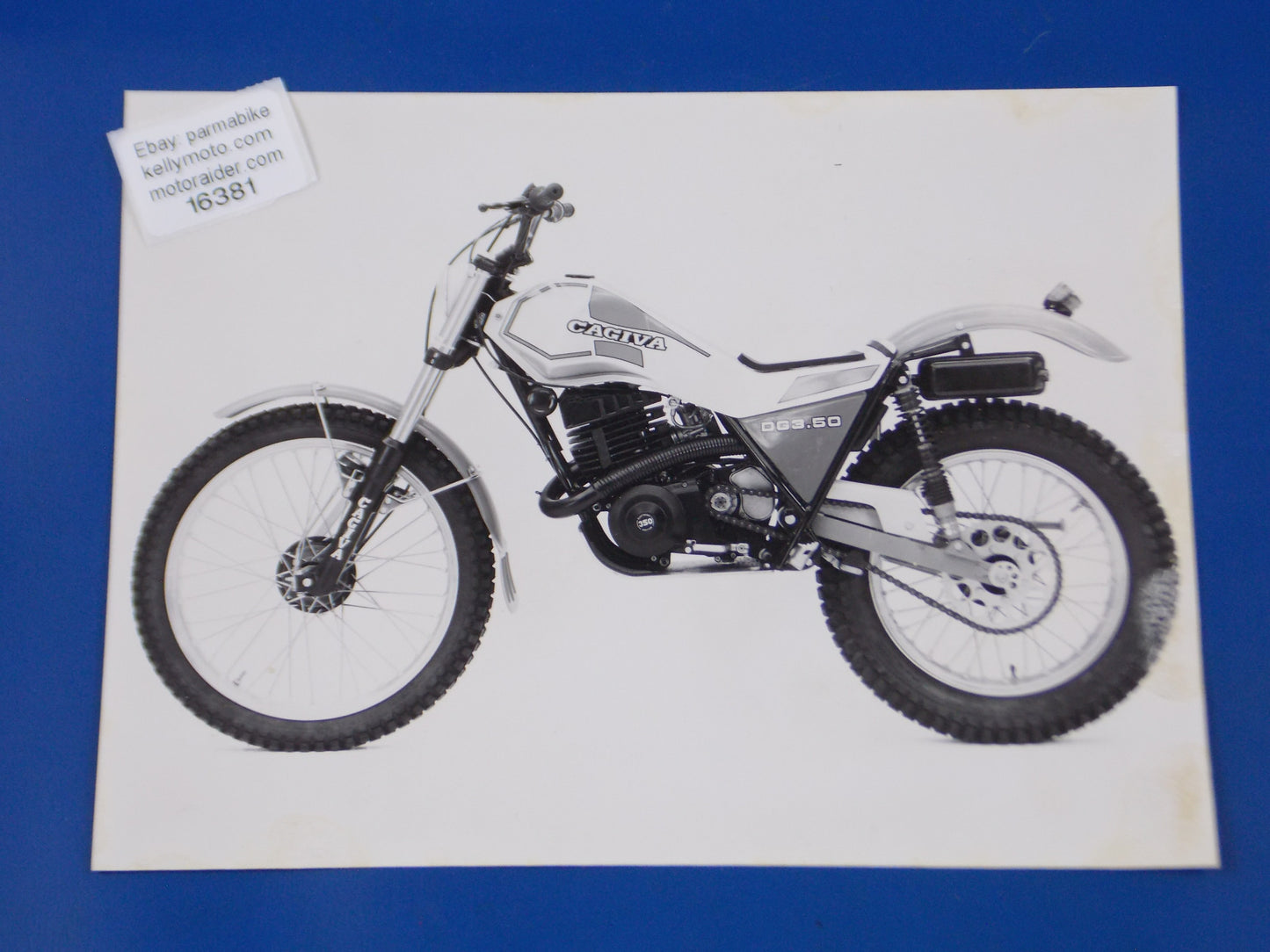 1980's CAGIVA DG 350 TRIAL ORIGINAL DEALER PHOTO BROCHURE VINTAGE AD 7x9.5" - MotoRaider