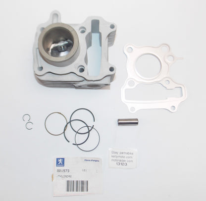 OEM PEUGEOT 2012 VIVA 3 L 50 4T A SIXTIES / 2013 TWEET 50 A CYLINDER # 801573 - MotoRaider
