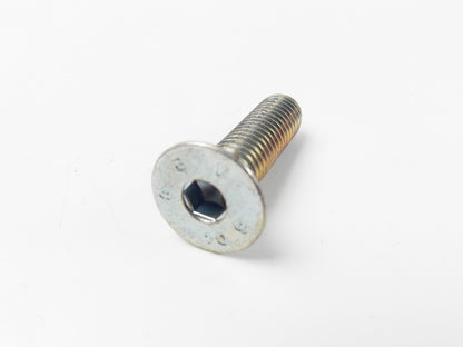 NOS OEM MALAGUTI REAR BRAKE DISC ROTOR MOUNTING SCREW BOLT M8X30 119.505.00 - MotoRaider
