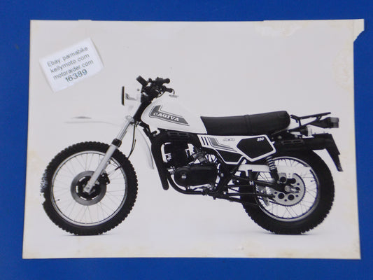 1980's CAGIVA ALA BLU 250 ORIGINAL DEALER PHOTO VINTAGE BROCHURE AD 7x9.5" - MotoRaider