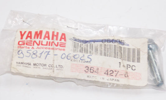 NOS YAMAHA  1994-2010  FLANGE BOLT  YFS200 YFM400 XV1100 FJR1300  95817-06025 - MotoRaider