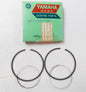 NOS YAMAHA  1969-1971 PISTON RING SET 3RD O/S 0.75 CT1 AT1 ATM1 251-11601-30 - MotoRaider