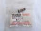 NOS YAMAHA 1987-2013 CROSSRECESS SCREW (2) YFM400 /350 XT250 TZ250  90151-06010 - MotoRaider