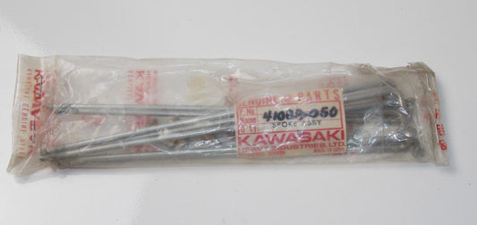 7 SPOKES 7 NIPPLES FRONT OUTER WHEEL KAWASAKI 1973 1974 1975 F11 41028-050 - MotoRaider