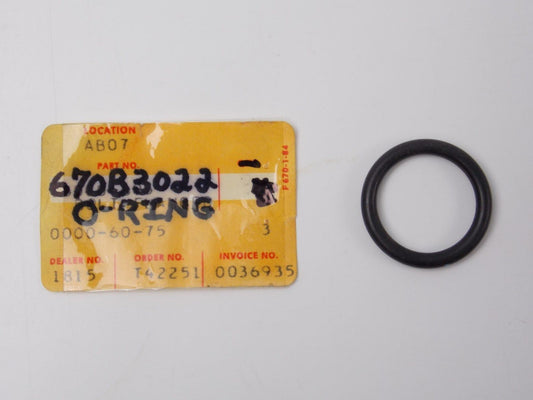 NOS OEM KAWASAKI 1970-1979 O RING 22MM  F5/8/9/12 KX450/400/250  670B3022 - MotoRaider