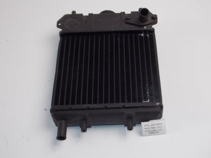 NOS OEM 1985 CAGIVA ALETTA ORO 125 COOLING SYSTEM RADIATOR 800089129 - MotoRaider