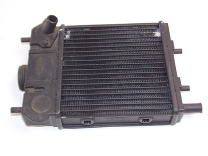 NOS OEM 1985 CAGIVA ALETTA ORO 125 COOLING SYSTEM RADIATOR 800089129 - MotoRaider