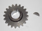 1982 KAWASAKI KX250 KX 250 PRIMARY CRANK GEAR WITH KEY Vintage Motocross MX - MotoRaider