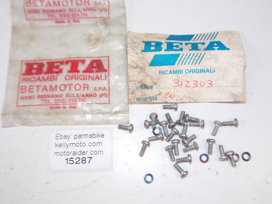 VINTAGE MOTORCYCLE SCREWS BOLTS BETA 312303 ENDURO CROSS TRIAL - MotoRaider