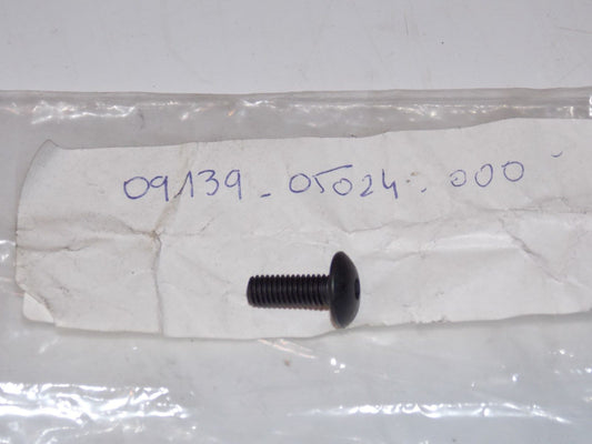 NOS SUZUKI 1986 1987 SCREW 5X14 RG250FG 09139-05024-000 - MotoRaider