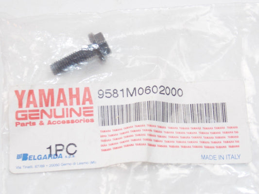 NOS YAMAHA 1997 2004 2007  FLANGE BOLT (K-LOCAL)  TT600 MT03  9581M0602000 - MotoRaider