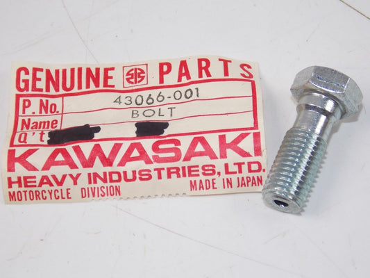 NOS KAWASAKI 1987-1990 OIL BOLT (2) KZ1000 KZ900  KH400 H1 H2 EX650 43066-001 - MotoRaider