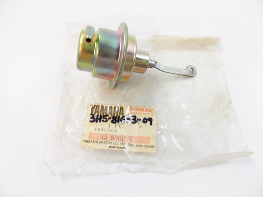 NOS OEM YAMAHA  1973-1976 SPECIAL SHAPE NUT MX250 SC500 DT250  90179-14163 - MotoRaider
