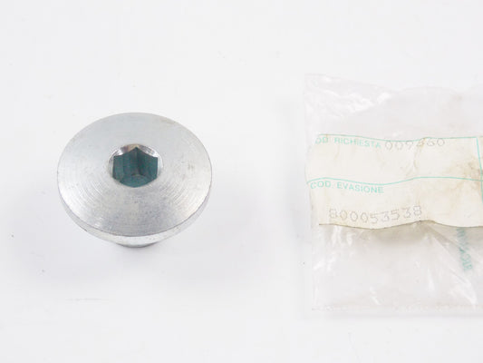 NOS OEM CAGIVA ´92 FRECCIA 125 -C12R 6 SPEED FRONT FORK ASSEMBLY SCREW 800053538 - MotoRaider