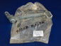 NOS 1977 SACHS HERCULES GS 125 1756 250 350 REAR WHEEL BRAKE PEDAL 4291701001910 - MotoRaider