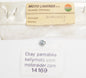 OEM LAVERDA 1200 MAGNETO ROTOR BUSH DOWEL ADJUSTING SCREW 30452013 30 452 013 - MotoRaider