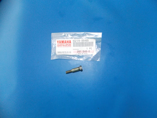NOS YAMAHA  1973-1986 XV700/1000 XJ700/900 YSR50 YTZ250 BOLT  90109-06465 - MotoRaider