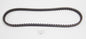 DAYCO HONDA SH 50/SCOOPY 2T / AF40 FAN BELT 15 X 860mm # 7177 - MotoRaider