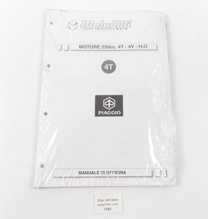 OEM MALAGUTI PIAGGIO WORKSHOP MANUAL SERVICE BOOK MOTOR 250cc 4T-4V-H2O ITALIAN - MotoRaider