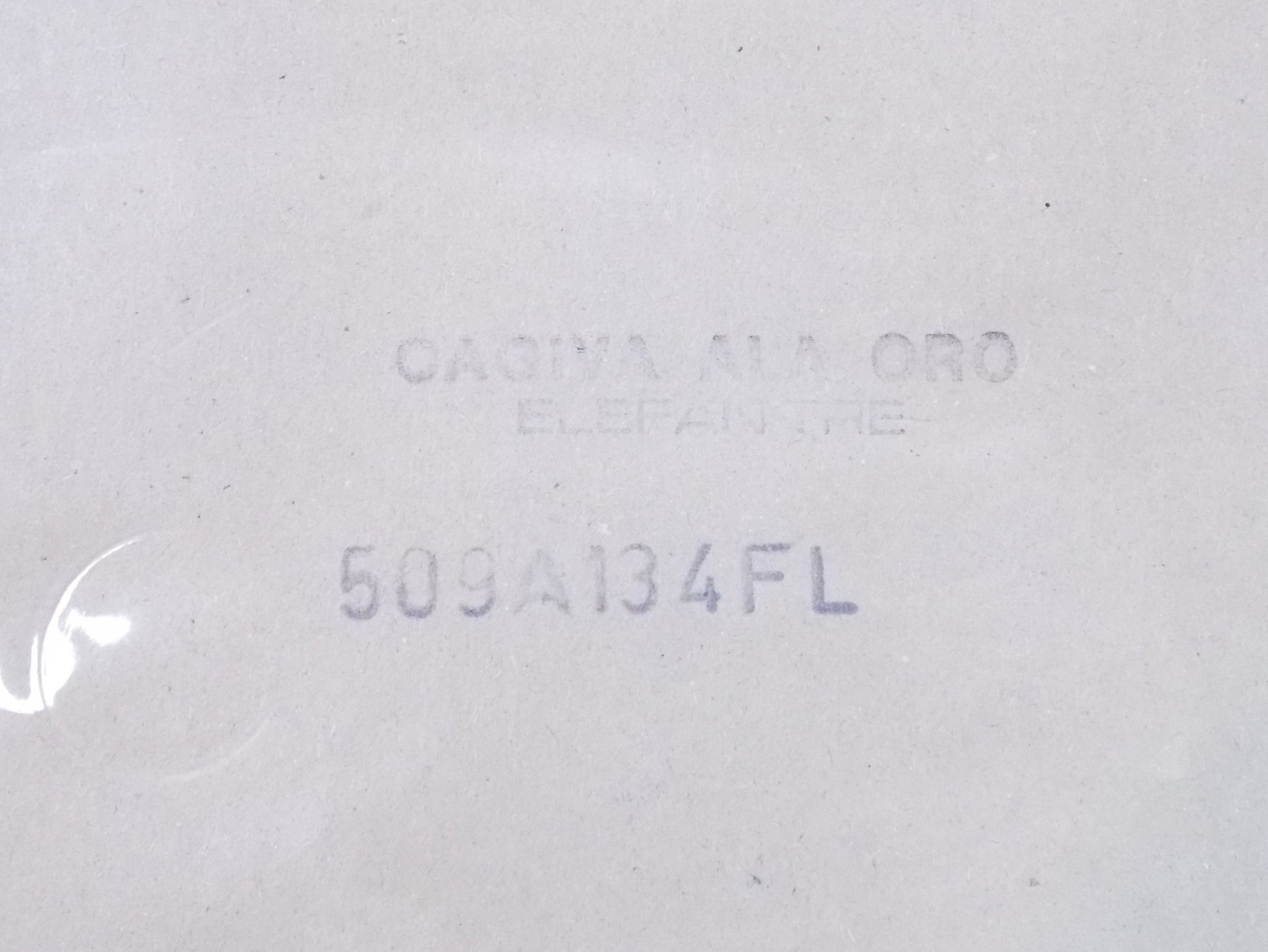 CENTAURO 1986-1988 CAGIVA ALA ORO ELEFANTRE MOTOR GASKET SET SEAL 509A134FL - MotoRaider