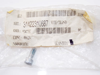NOS OEM BMW 96-05 R1100S/1150GS/1200C/CL FILLISTER HEAD SCREW M6x16 #31422310687 - MotoRaider