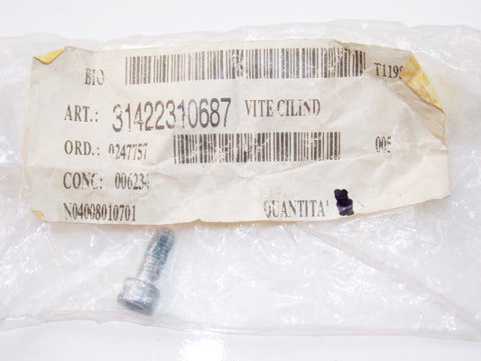 NOS OEM BMW 96-05 R1100S/1150GS/1200C/CL FILLISTER HEAD SCREW M6x16 #31422310687 - MotoRaider