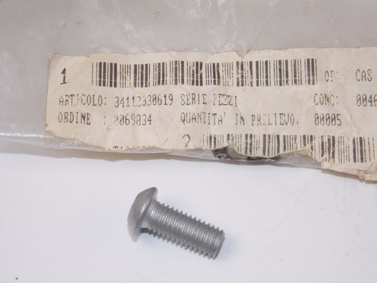 OEM BMW K1200 F650 R1200 FRONT BRAKE DISC OVAL HEAD SCREW M8X20MK 34112330619 - MotoRaider